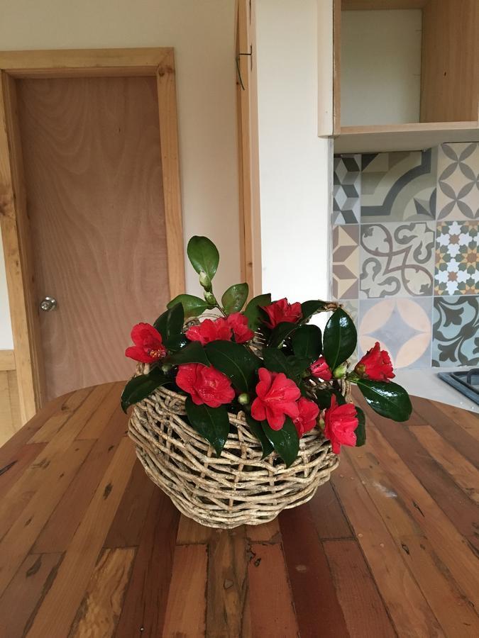 Almabosque Cabanas 푸에르토바라스 외부 사진