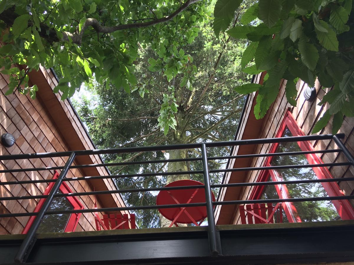 Almabosque Cabanas 푸에르토바라스 외부 사진