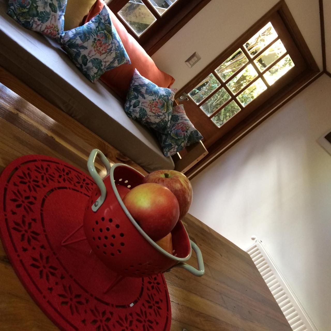 Almabosque Cabanas 푸에르토바라스 외부 사진